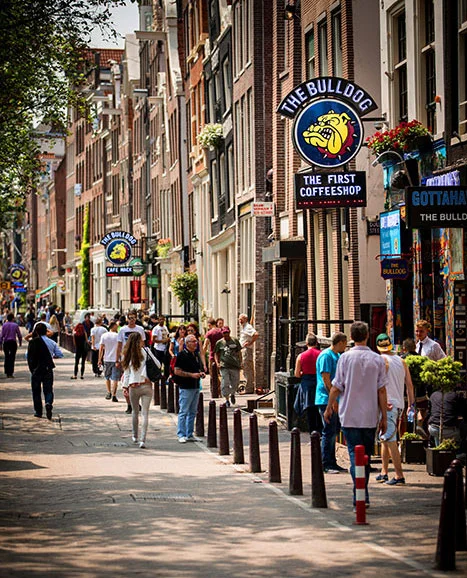 Coffeeshop The Bulldog The First in Amsterdam - Greenmeister