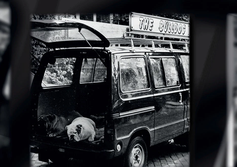 The Bulldog
