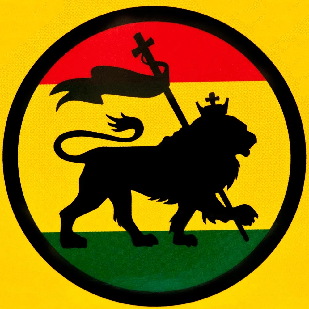 Boite de 24 carnets Irie Slim – Image 7