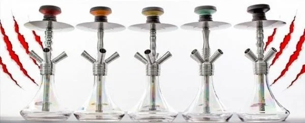 Chicha BRODATOR Mini 320