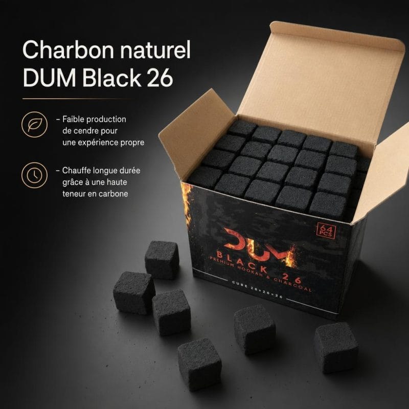AAA - Charbon naturel DUM Black 26 - image-1