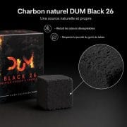 AAA - Charbon naturel DUM Black 26 - image-2
