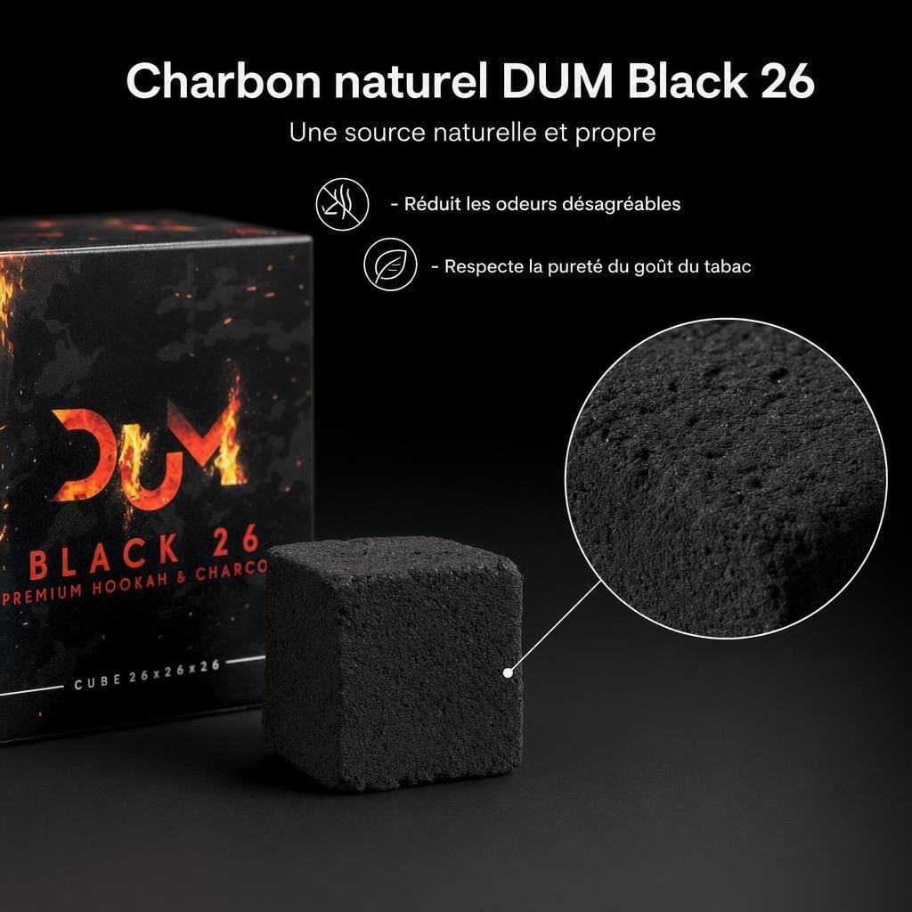 AAA - Charbon naturel DUM Black 26 - image-2