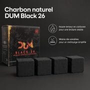 AAA - Charbon naturel DUM Black 26 - image-3