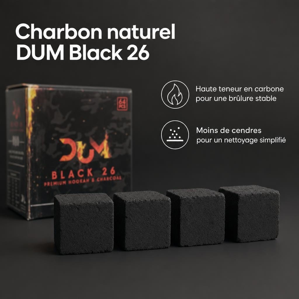 AAA - Charbon naturel DUM Black 26 - image-3