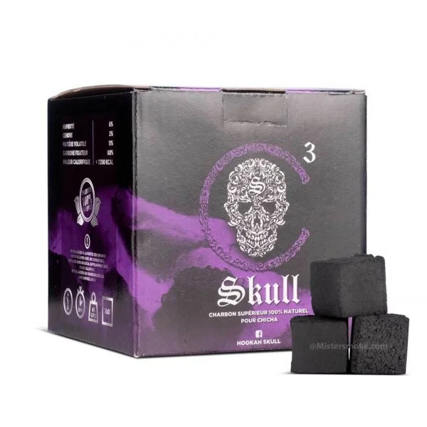 natural coal skull