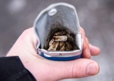 cendrier de poche au meilleur prix