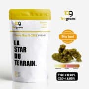 CBD TenGrams Star 5