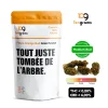 Fleurs de CBD Orange Bud Greenhouse - 2g