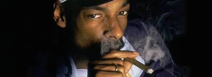 elfbar nachfüll pod läuft aus Snoop Dogg G Pen - Revue et guide d'instructions sur le Snoop Dogg G Vape  Pen