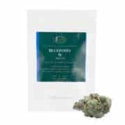 cbd blueberry 1g