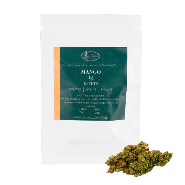 cbd mango haze 1g
