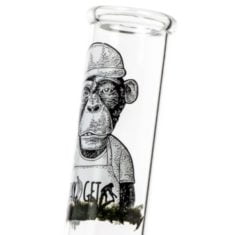 bang verre chimpanzé pay get
