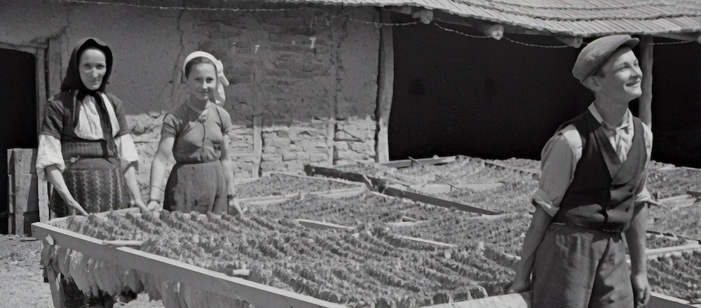 L'histoire du tabac