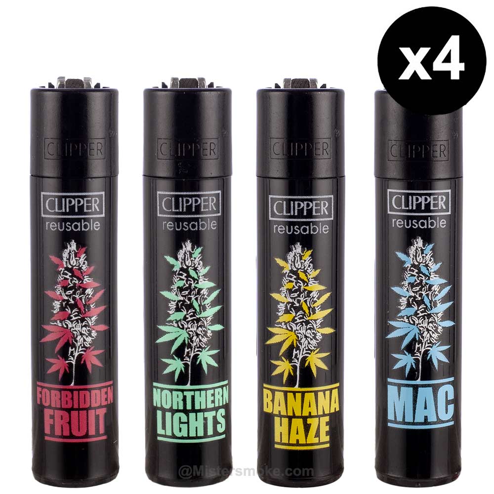 Briquet Clipper Strains mix x4 - Briquets - Mistersmoke