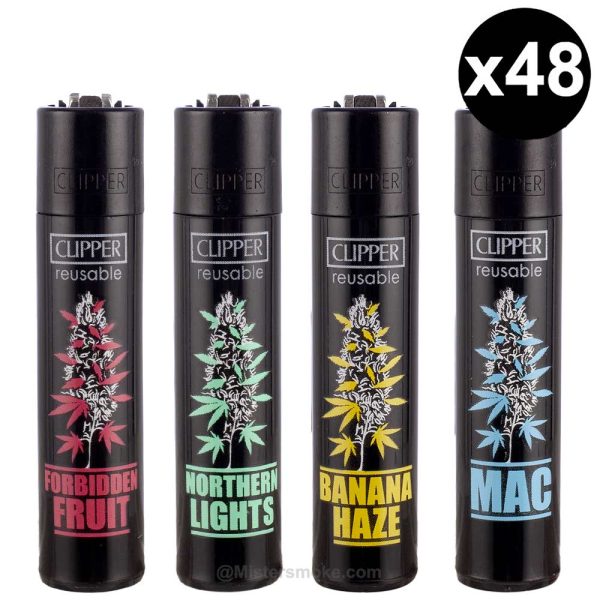 Box of refillable and economical lighters