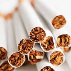 quel tube à cigarette choisir ?