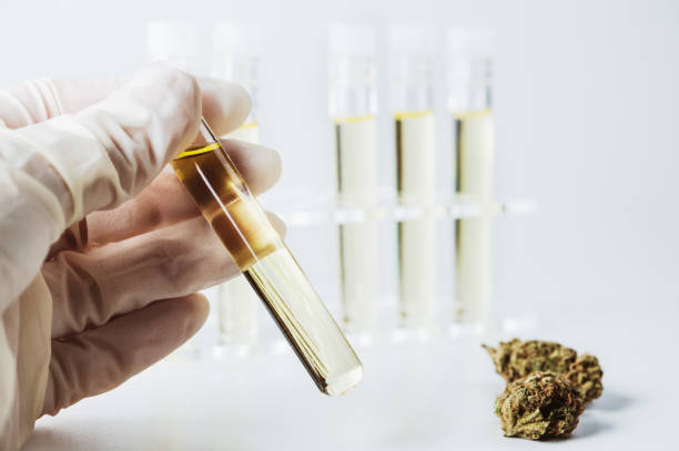 test anti thc : que faut-il savoir ?