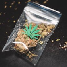 Pochon Weed en Plastique - Sachets Hermétiques Anti-Odeur