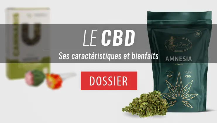 dossiers thématique fleurs de cbd