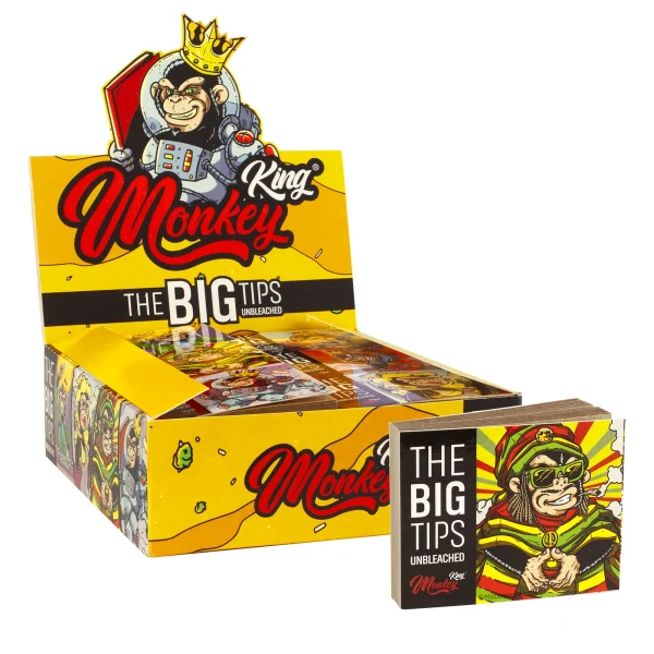 boite de 30 carnets de filtres Money king BIG