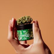 boite de cbd amesia 3 grammes