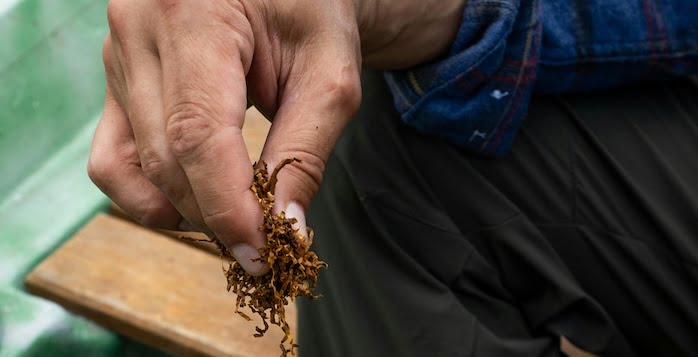 Top 5 der besten Tabake für den elektrischen Rohrschneider.