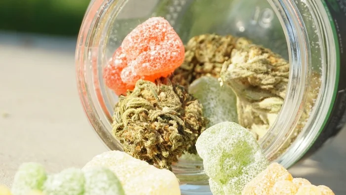 testé positif après avoir consommé un bonbon au cbd, est-ce possible ?