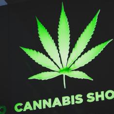 légalisation du cannabis en allemagne