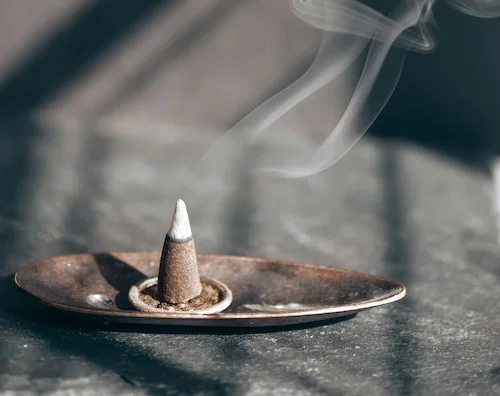 profitez des vertus de la sauge blanche de l'encens cone white sage satya.