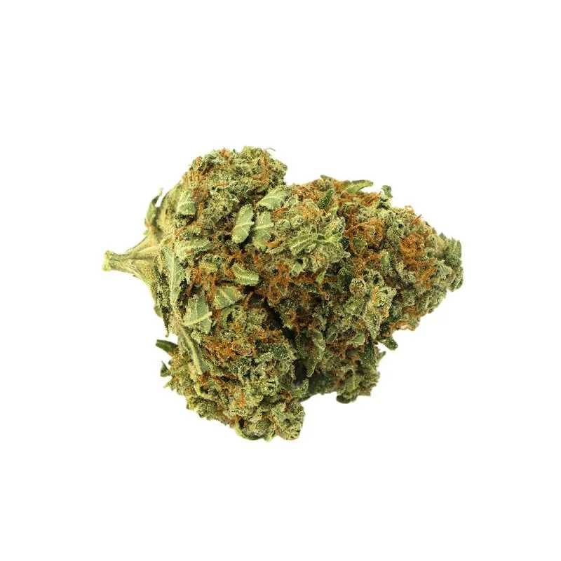 Détails CBD Orange Bud - Fleur