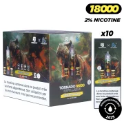 Strawberry Kiwi Ice (Fraise Kiwi)