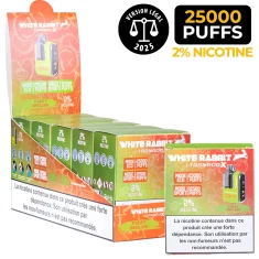 puff 25000 grossiste