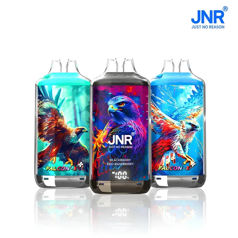 JNR Puff rechargeable 28000 bouffées.
