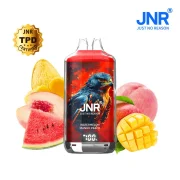 JNR PUFF 28000 Falcon X - Mango Peach Watermelon