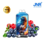 Puff JNR Blueberry Raspberry
