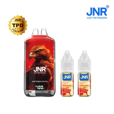 JNF Falcon X Nicotine 2% pastèque glacée avec ses 2 flacons de liquide.