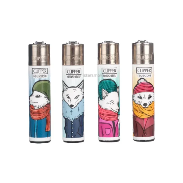 Boîte de 48 briquets rechargeables design - Collection Winter Mix