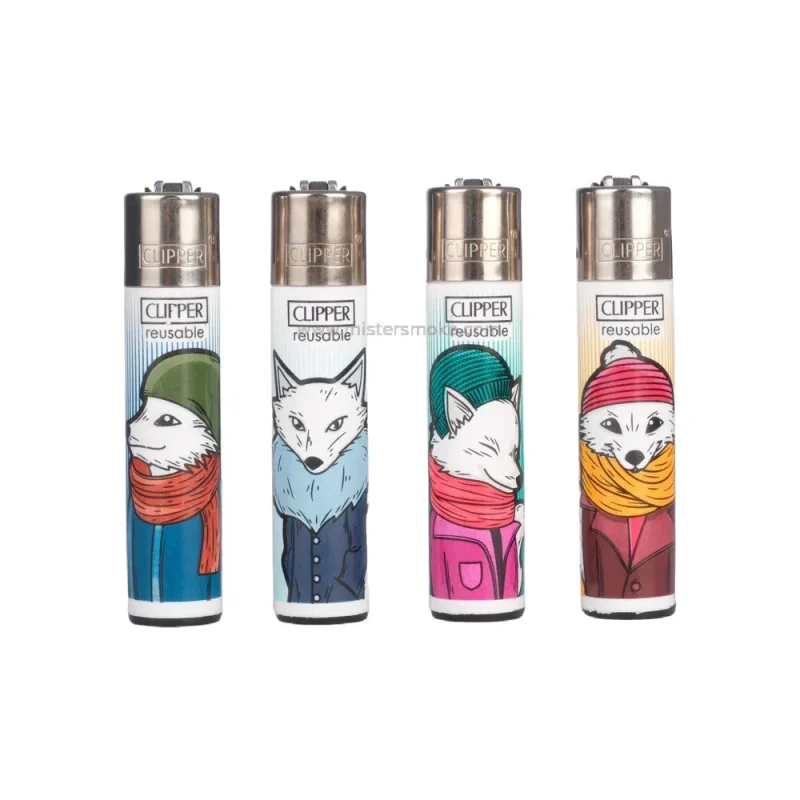 Boîte de 48 briquets rechargeables design - Collection Winter Mix