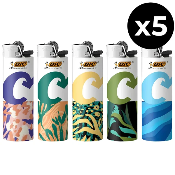 Briquet BIC Maxi Ecolutions x5
