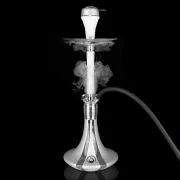 steamulation ultimate gen III