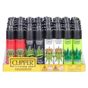 Clipper Large Canna King x48