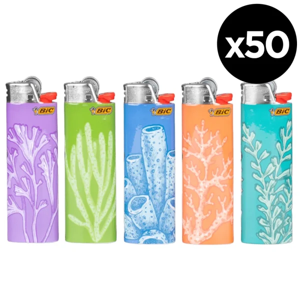 BIC maxi - Sea Treasures – Boite de 50 briquets – Image 2