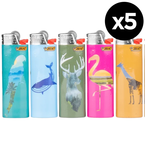 Briquet BIC Maxi Silhouette - Lot de 5