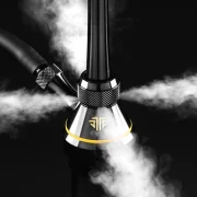 tsar h-one evolution