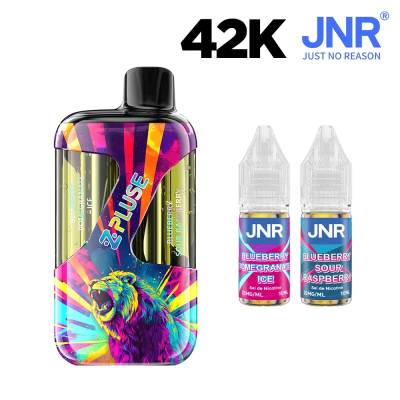 JNR ZPulse - puff rechargeable double goût 42K