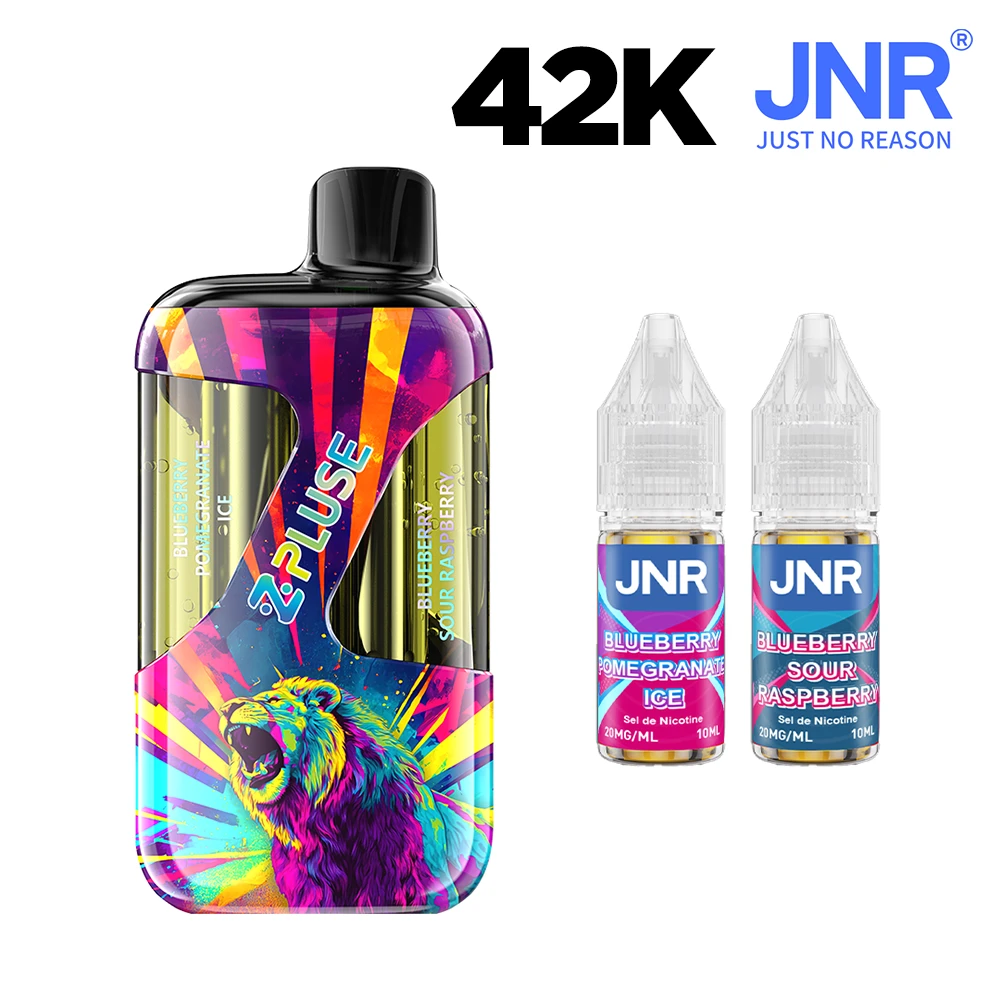 JNR ZPulse - puff rechargeable double goût 42K