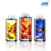 JNR Flacon NExus - Puff avec aigle - Système rechargeable avec cartouche pod remplissablee n e-liquide - Fiole 10 ml JNR incluses - Ecran LED - USB-C