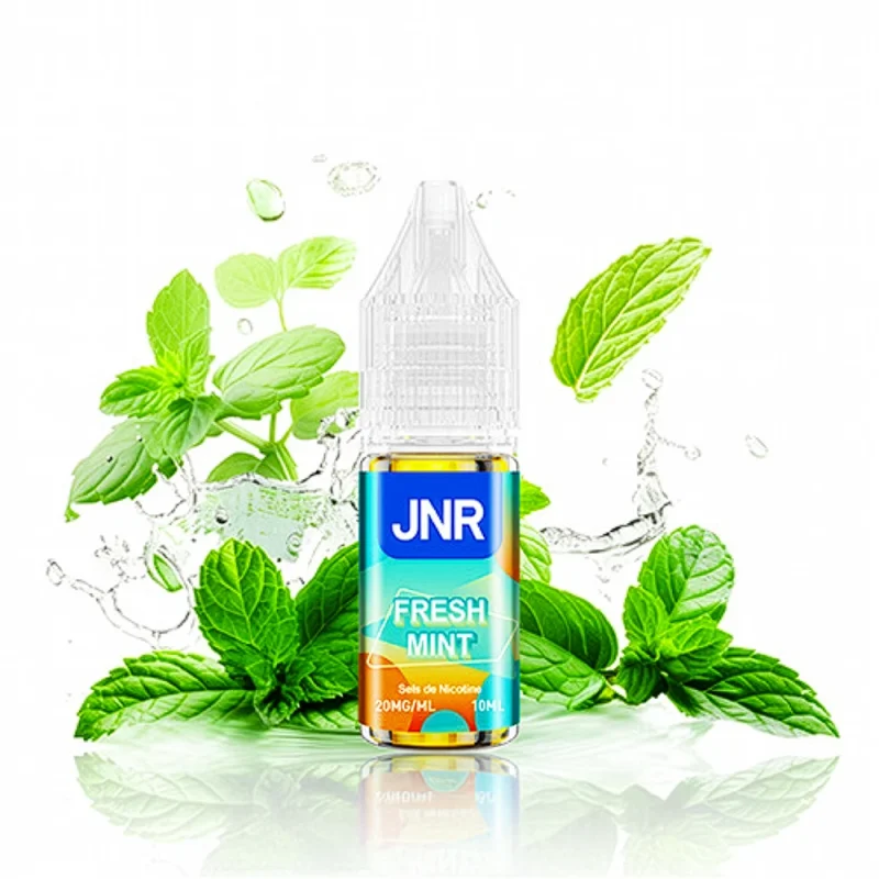 e liquide menthe JNR fresh mint 10 ml avec nicotine pour recharge puff jnr