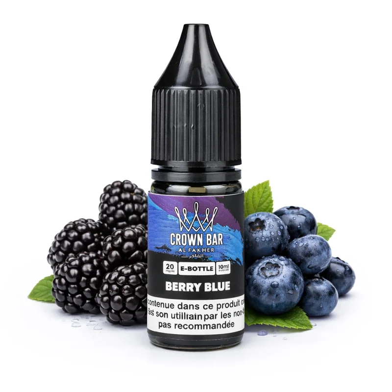 E-liquide Berry Blue Al Fakher : un mélange fruité aux notes de baies bleues - flacon 10 ml